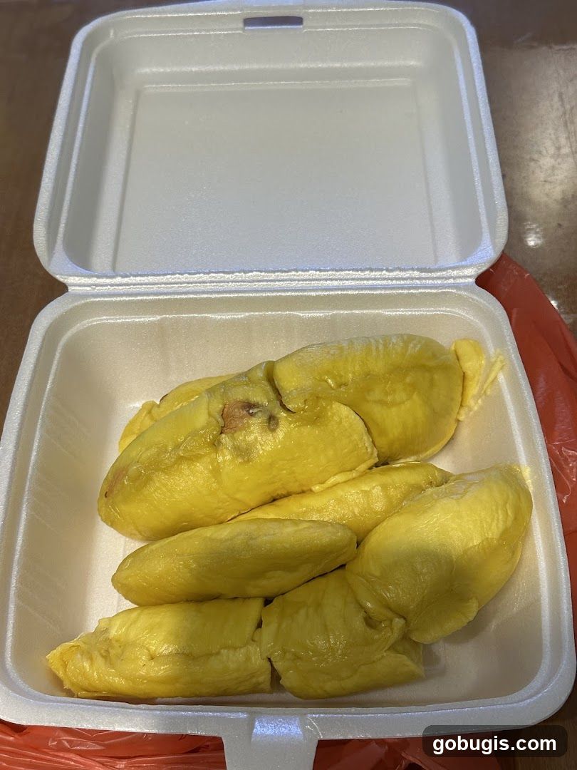 Durian Fruit