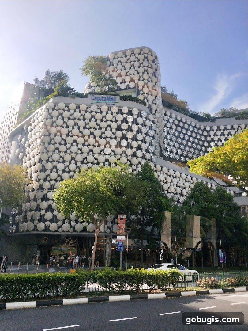 CapitaMall