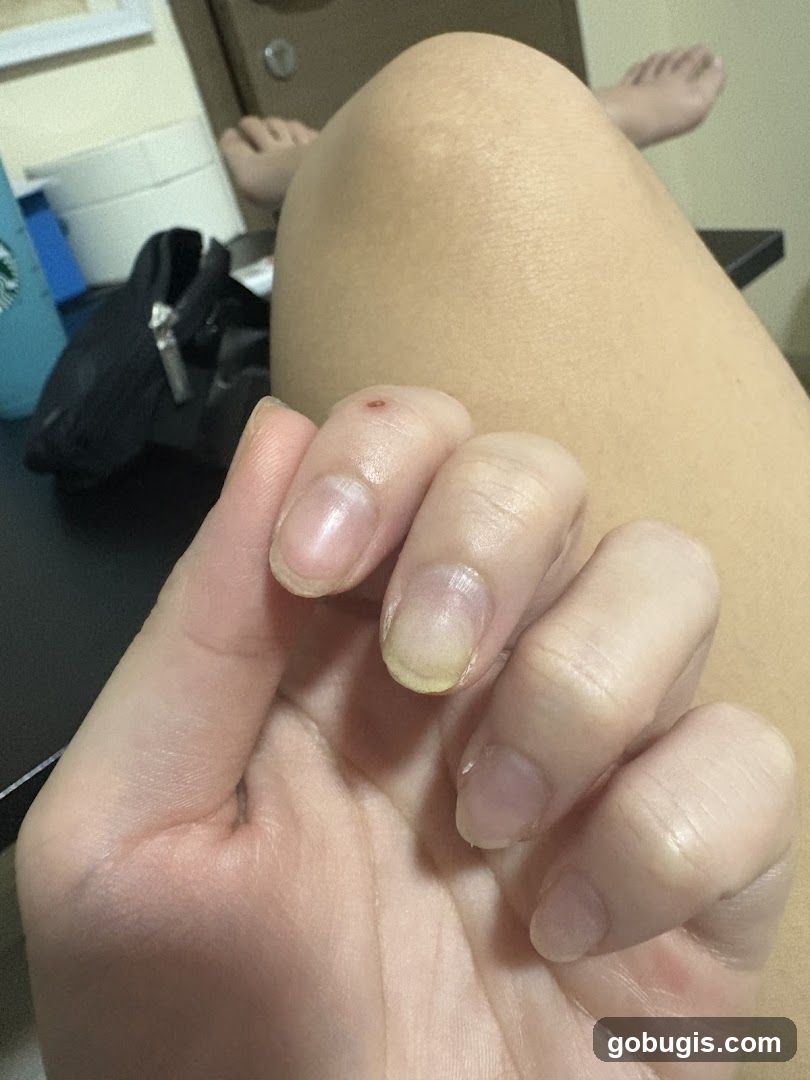 Thank Nail and Beauty