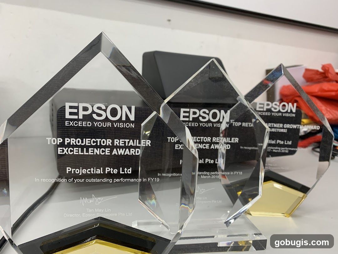 Epson Awards