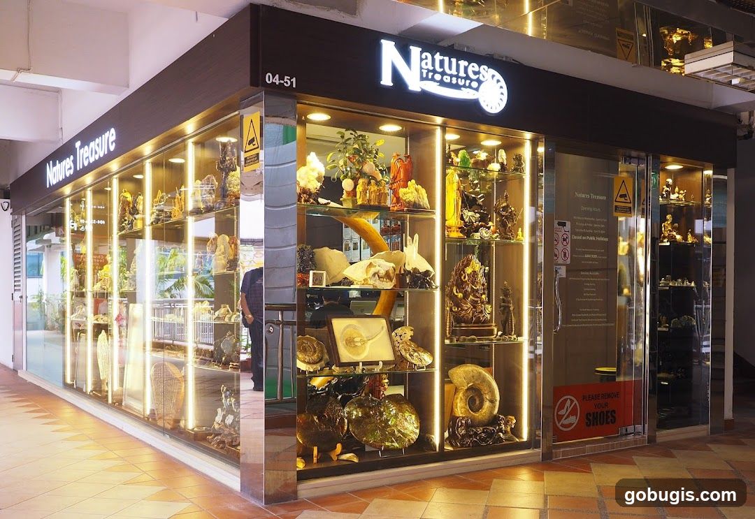 Natures Treasure Limited Liability Partnership