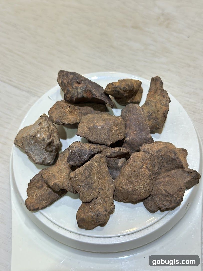 Meteorites on a Scale