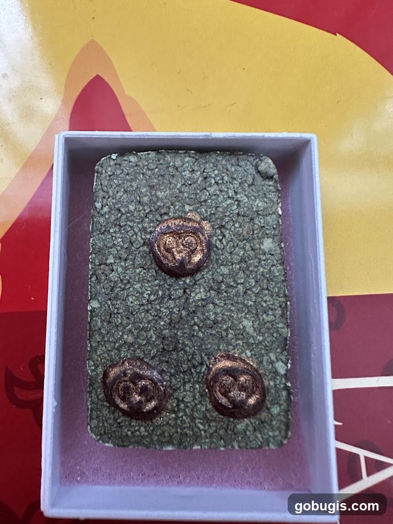 Three Owl-Shaped Charms