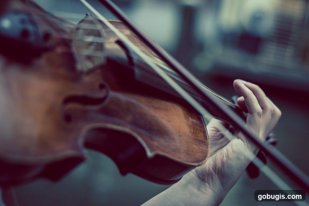 Xin Yue Music Studio