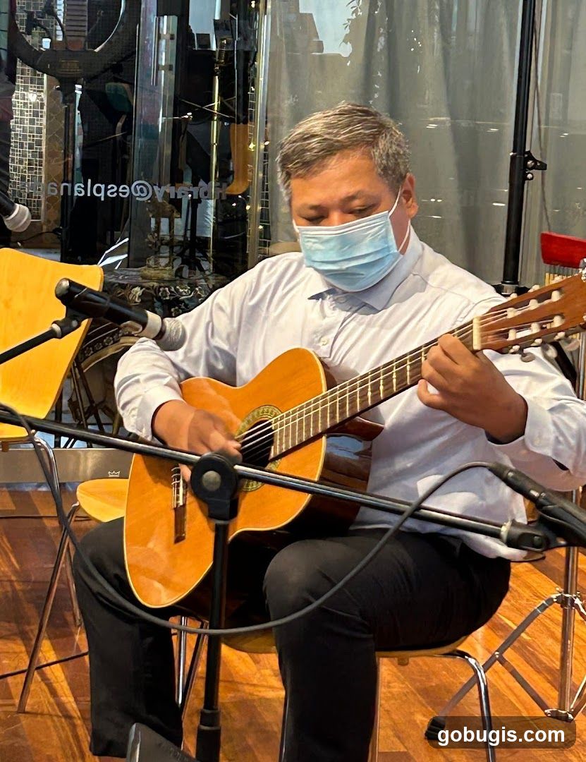 Musician Playing Guitar
