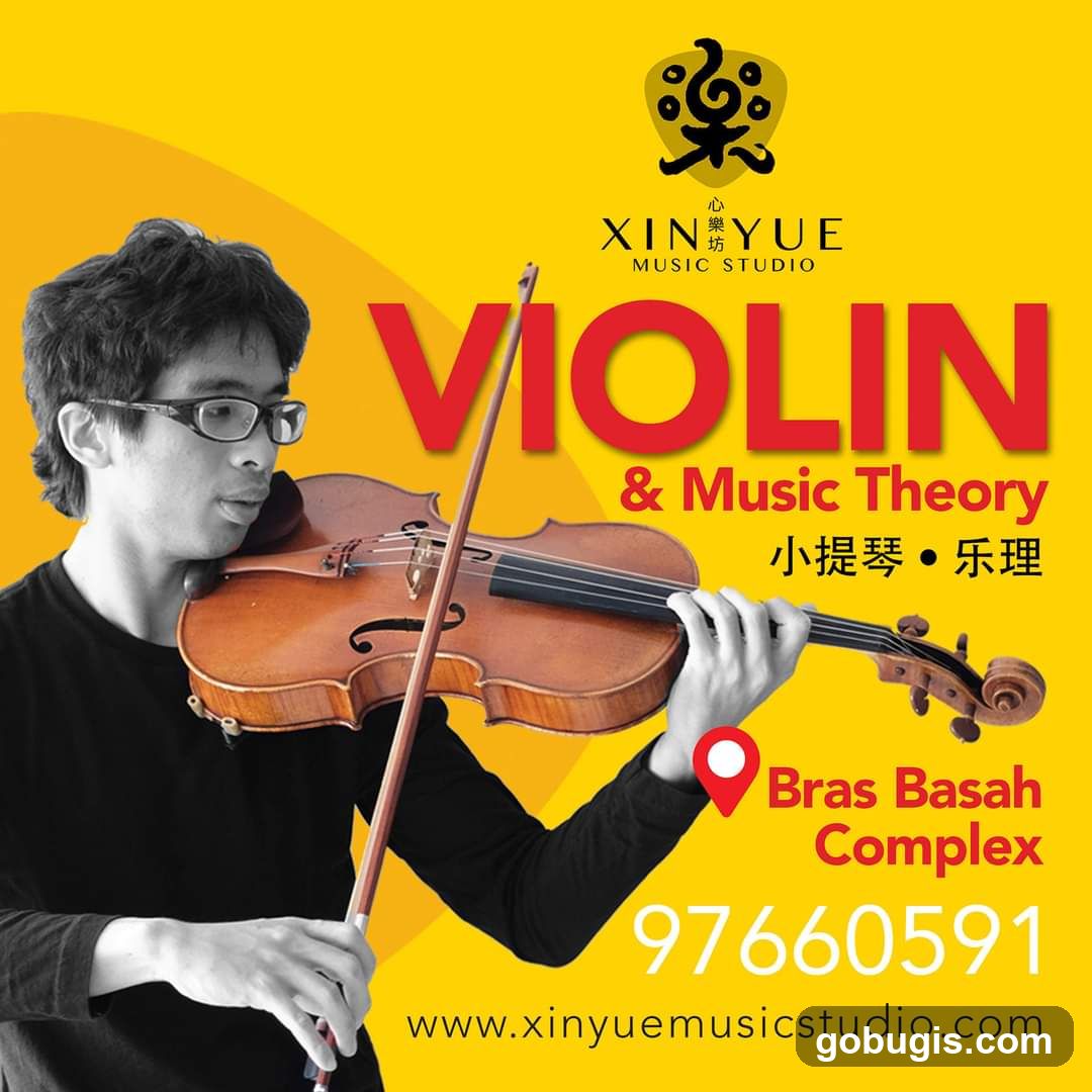 Violin and Music Theory Advertisement