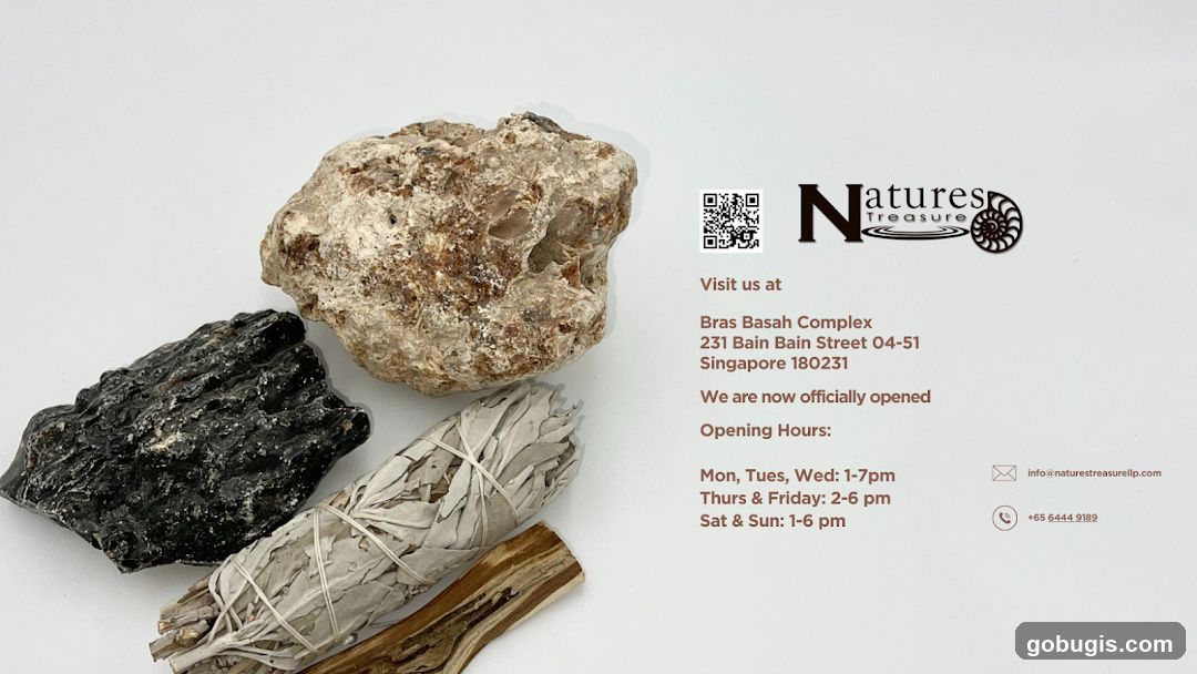 Natures Treasure Information