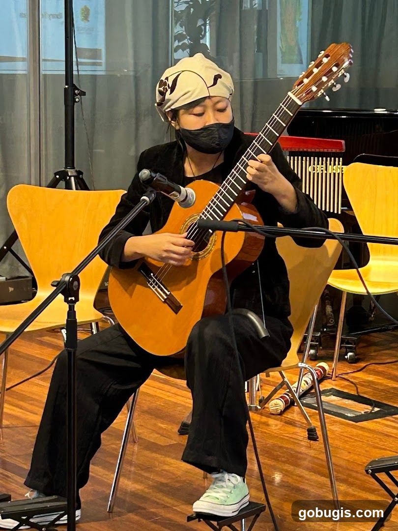 Musician playing guitar