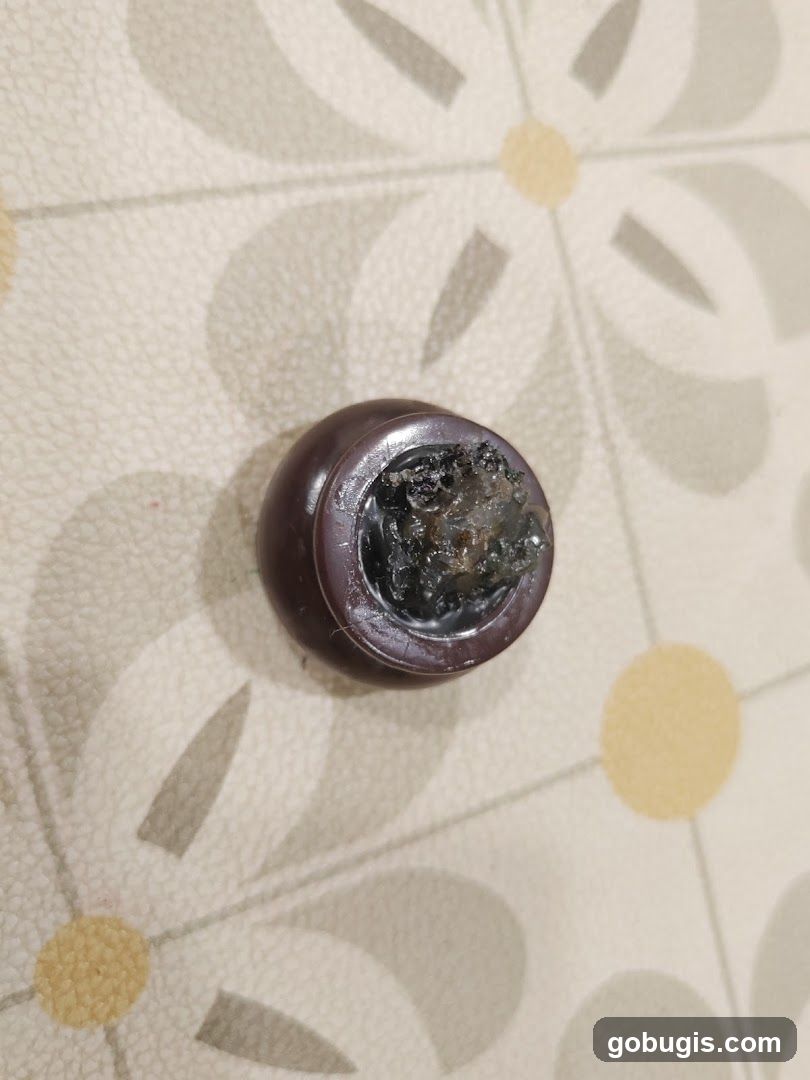 Symbolin Crystal 鑫锦沣