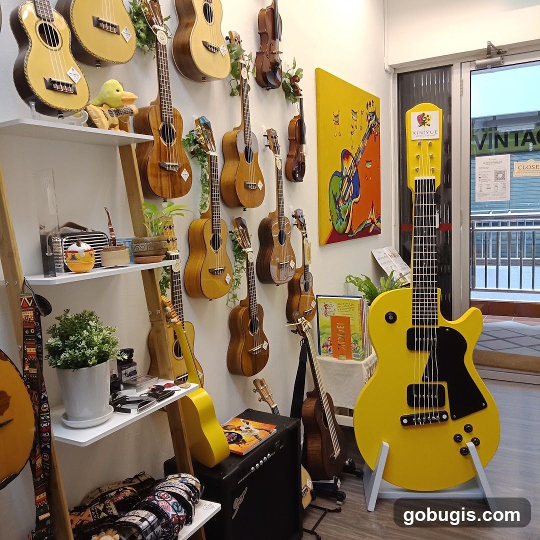 Musical Instrument Shop