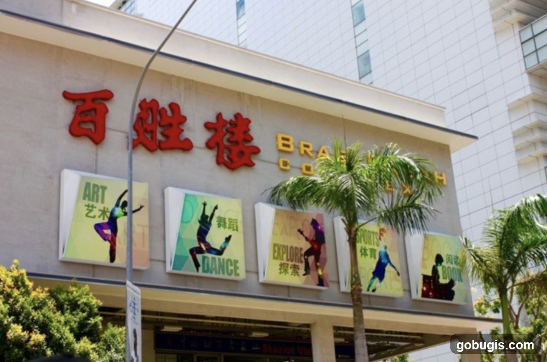 Xin Yue Music Studio