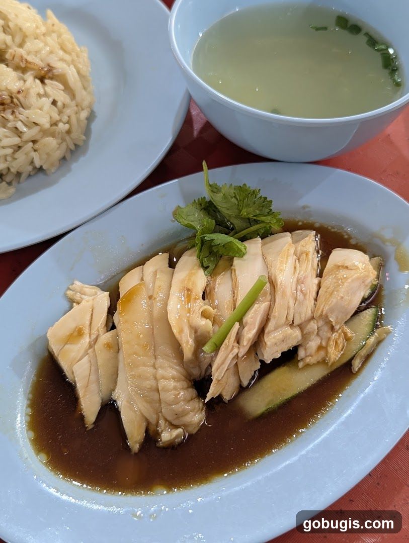 Yong Fa Hainanese Chicken Rice (#01-49)