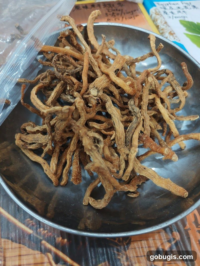 Dried Roots in a Bowl