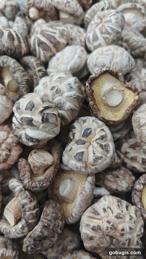 Dried Shiitake Mushrooms