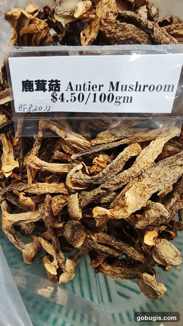 Dried Mushrooms