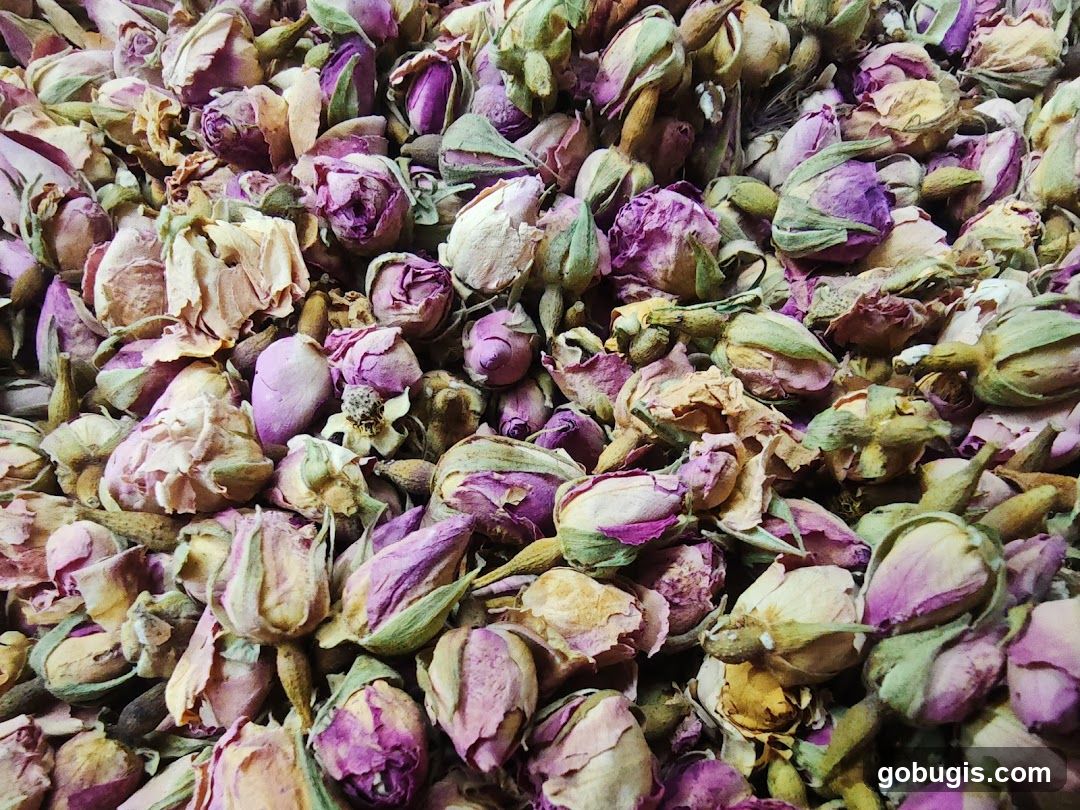 Dried Rose Buds
