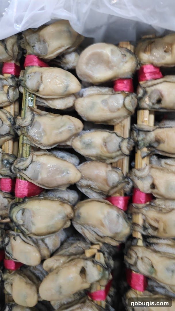 Oysters on Skewers