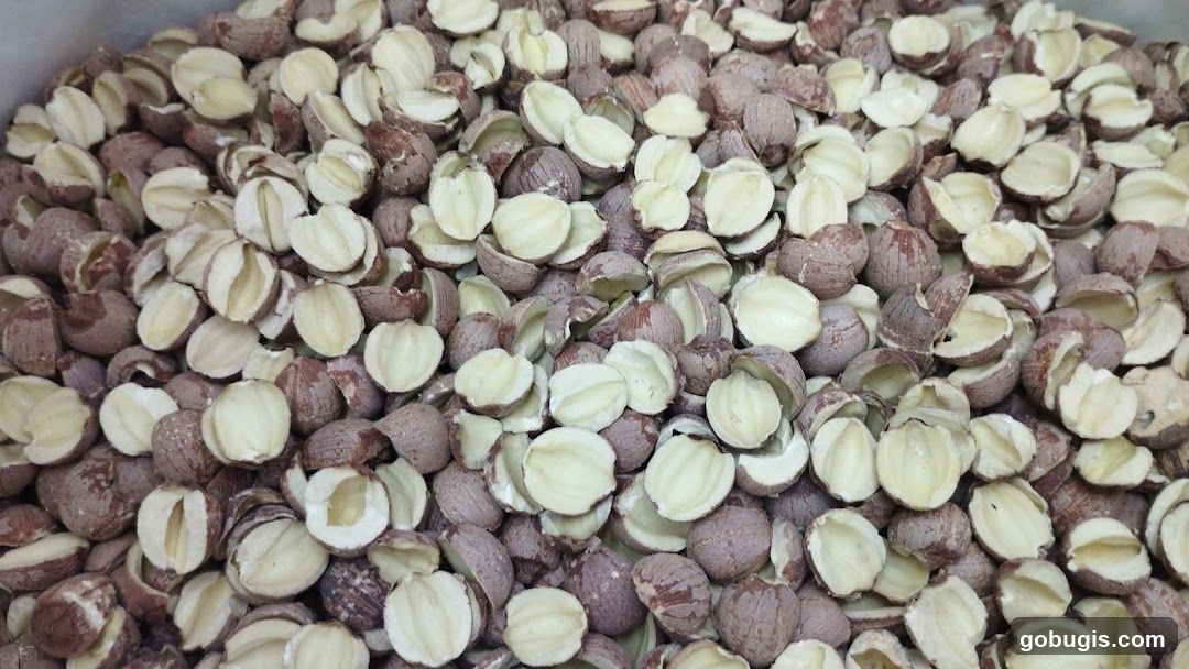 Pile of Shelled Nuts
