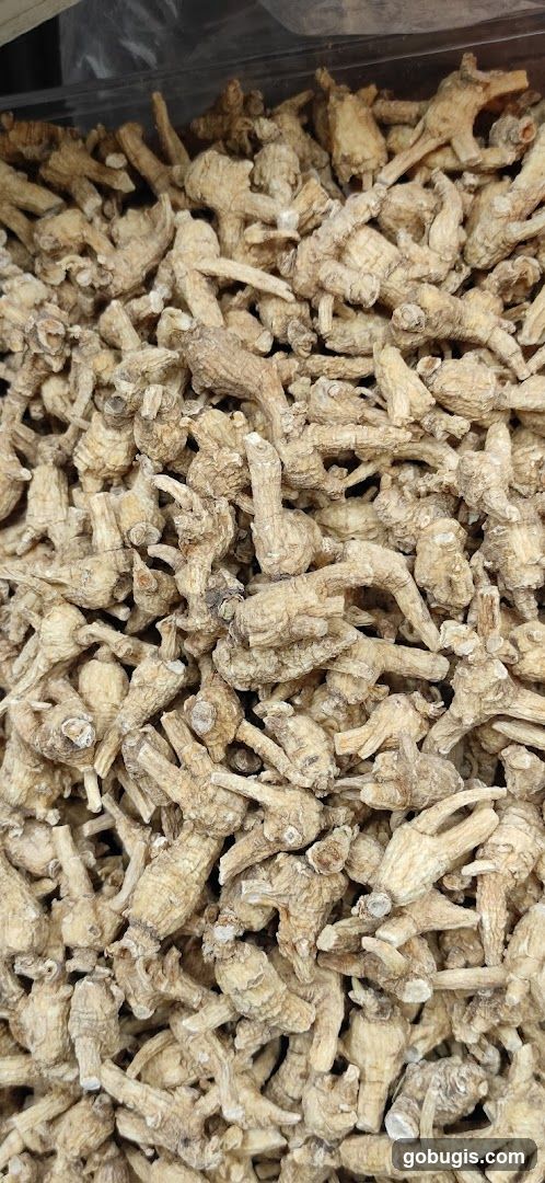 Dried Roots