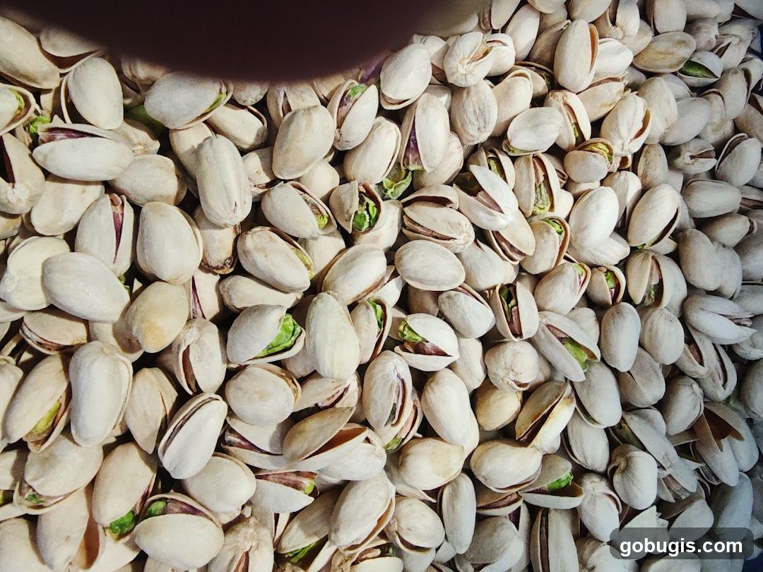 Pistachios