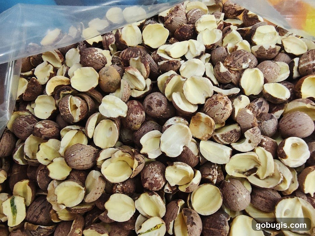 Dried Lotus Seeds