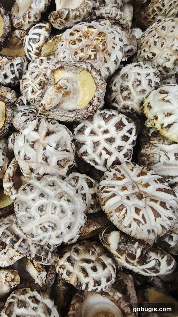 Dried Shiitake Mushrooms