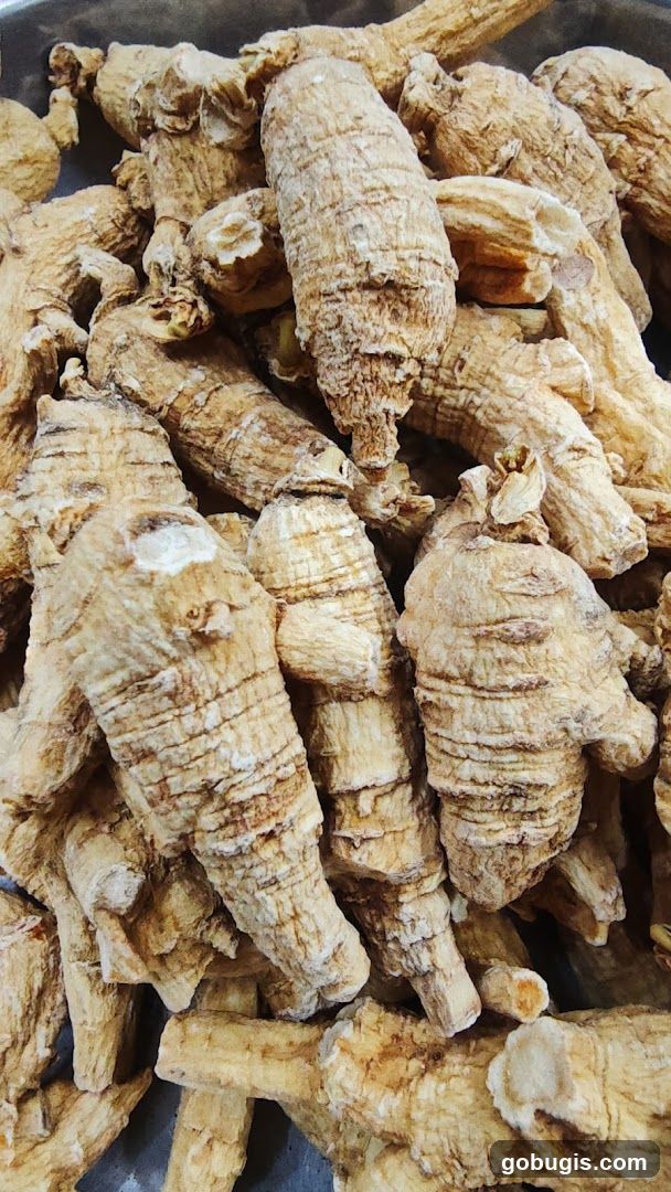 Dried Roots