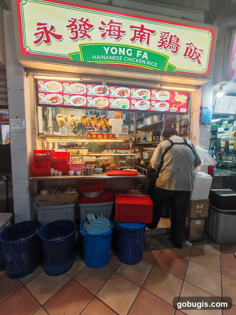 Yong Fa Hainanese Chicken Rice (#01-49)