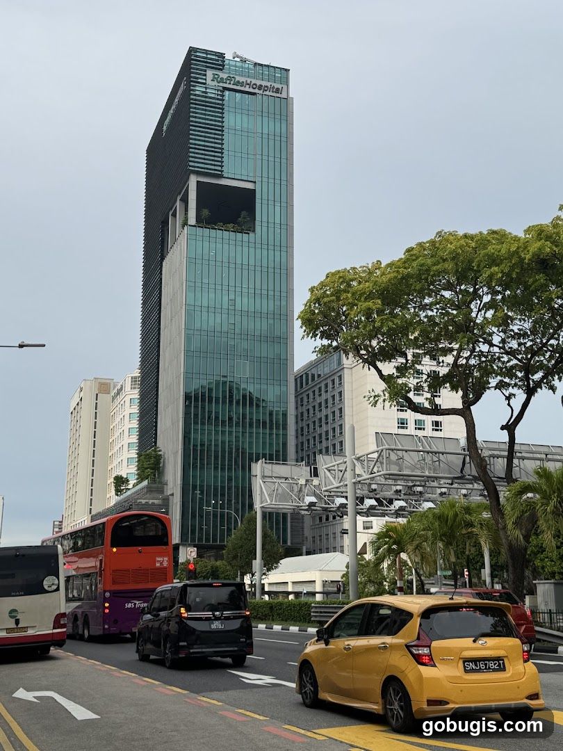 Raffles Hospital Building