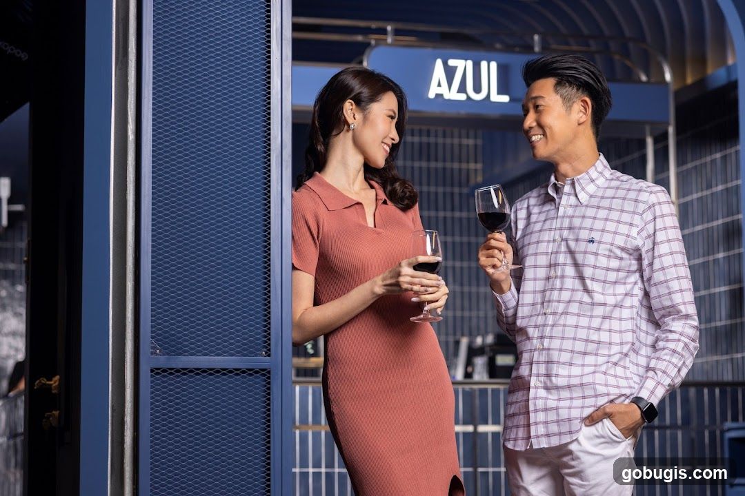 Couple enjoying wine at a bar