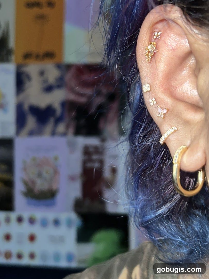 Ear Piercings and Decorations