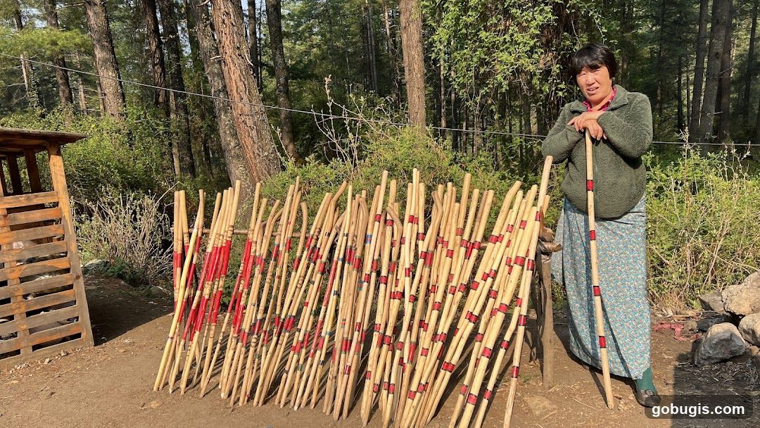 Woman with walking sticks