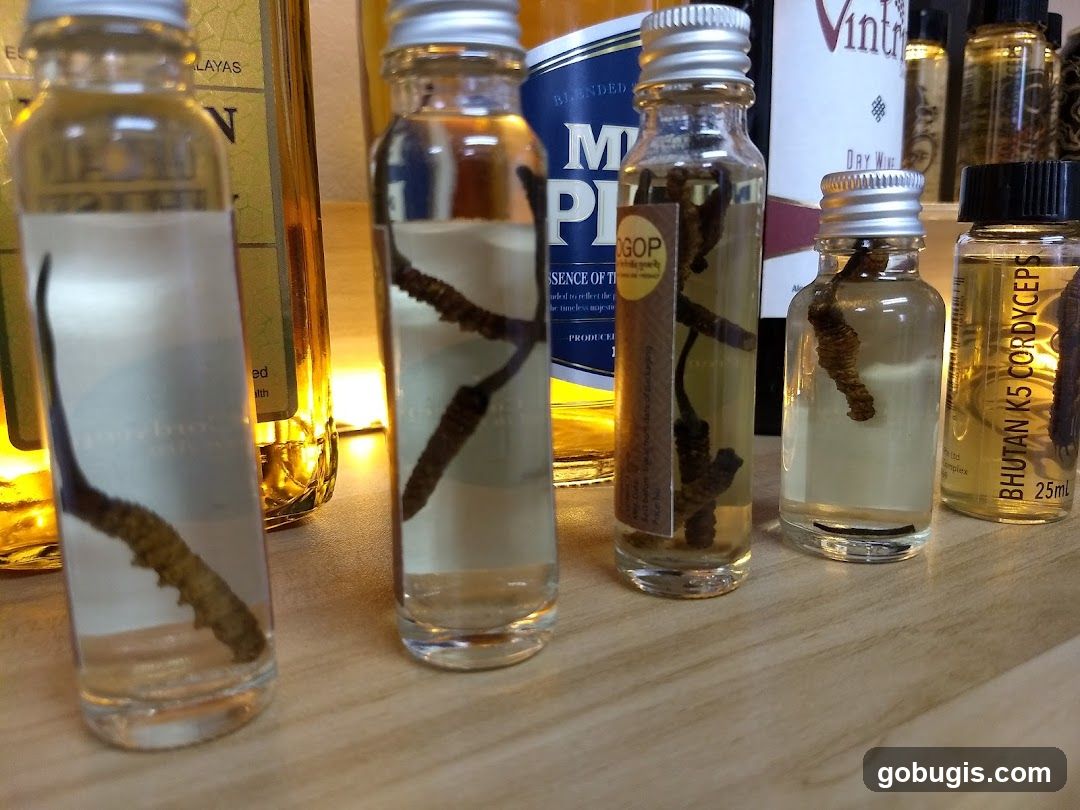 Bottles of Cordyceps