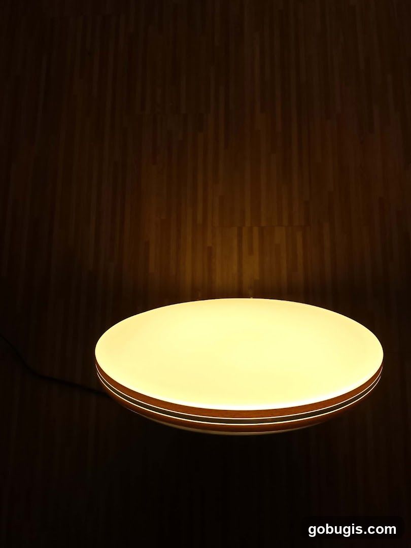 Modern Ceiling Light