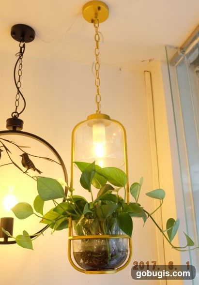 Hanging Lamp with Plant