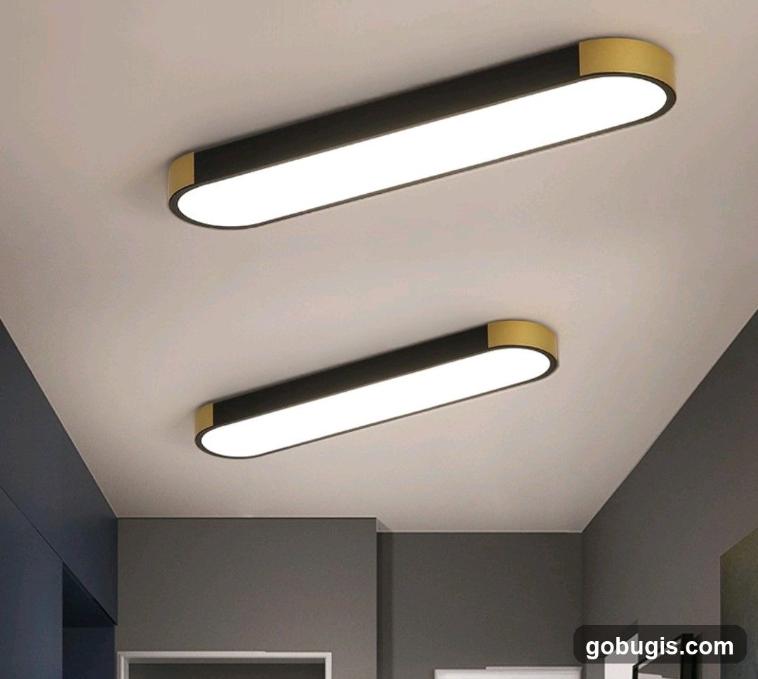 Modern Ceiling Lights