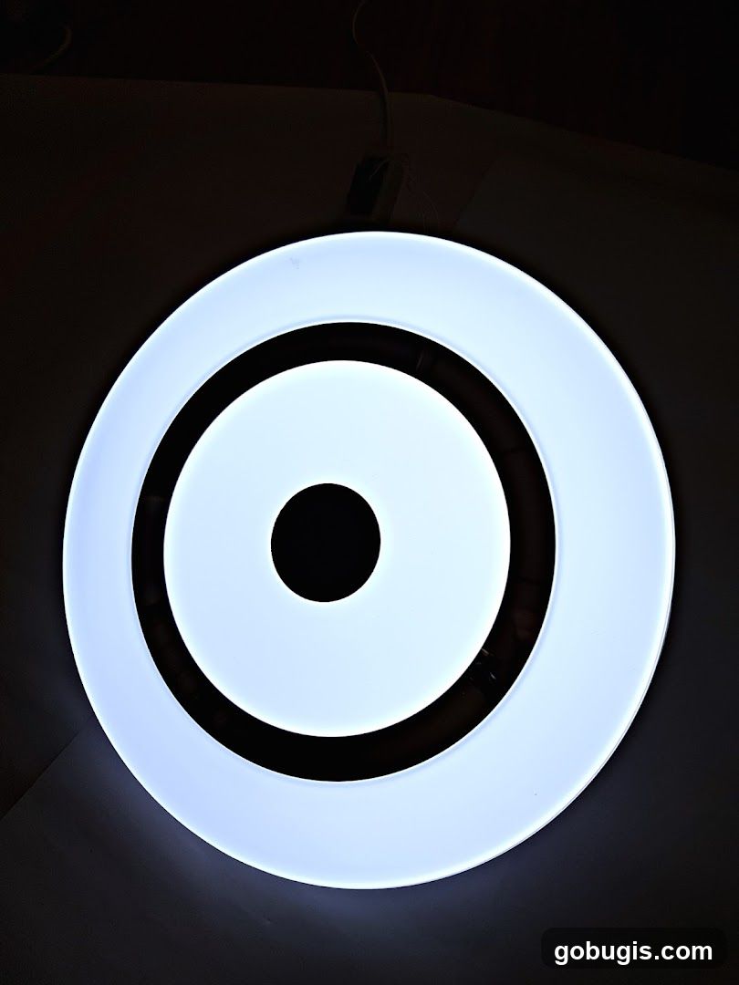 Concentric Circles Light Fixture