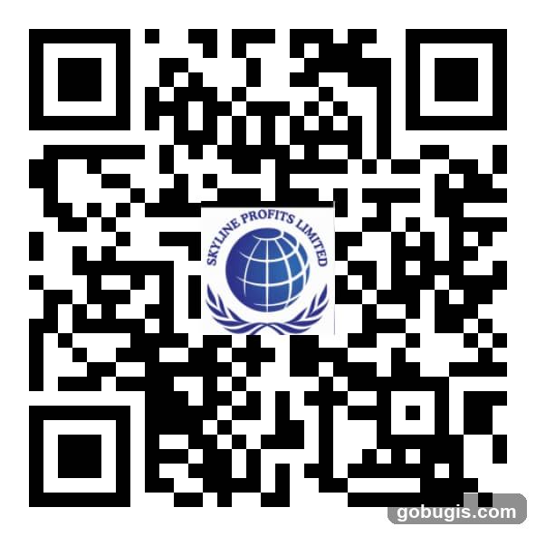 Skyline Profits Pte. Ltd.