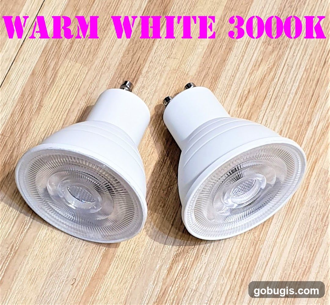 Two LED Bulbs