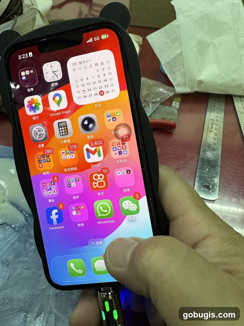 iPhone Home Screen