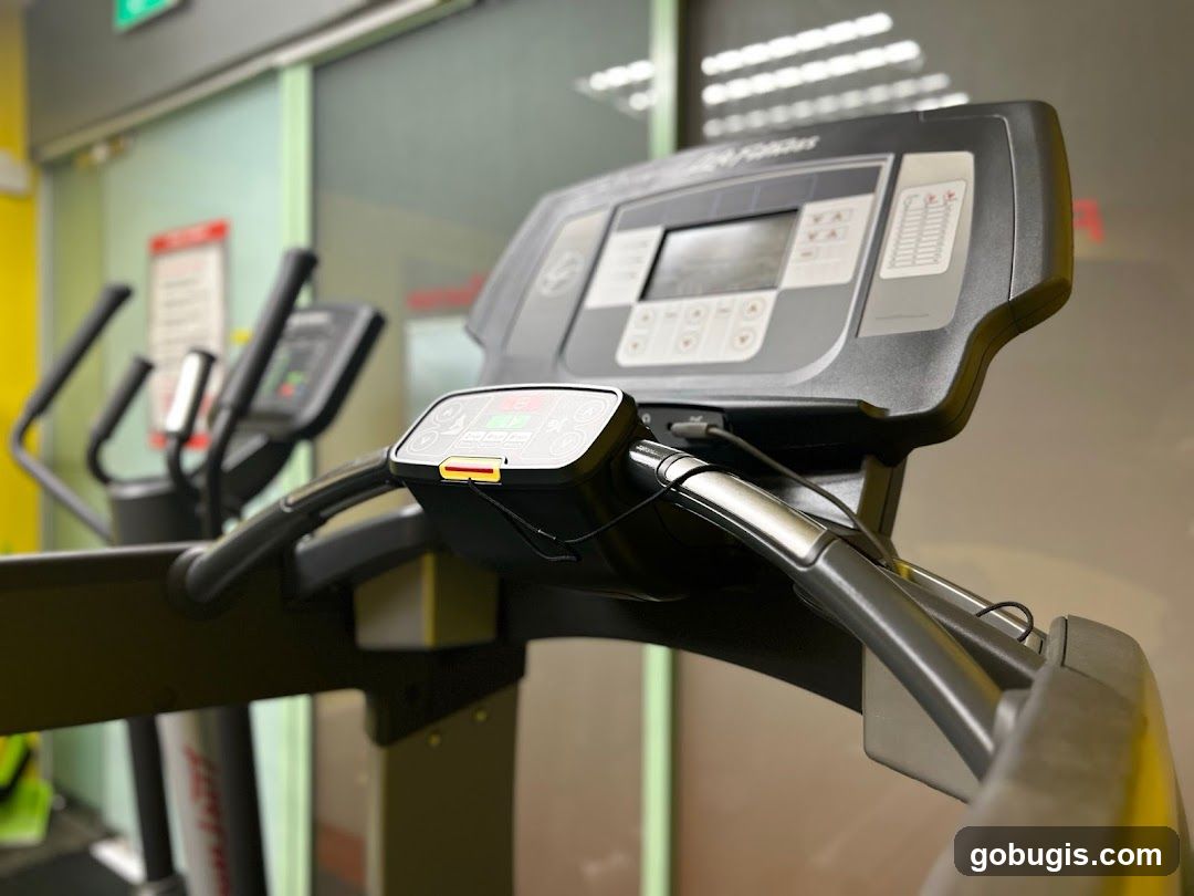 FitNation (Bras Basah)