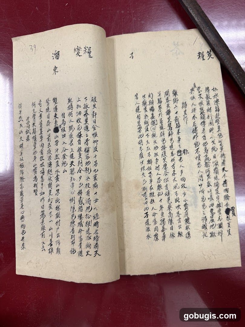 Handwritten Document