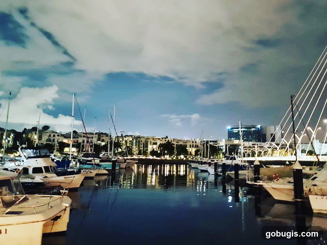 Nighttime Marina Scene