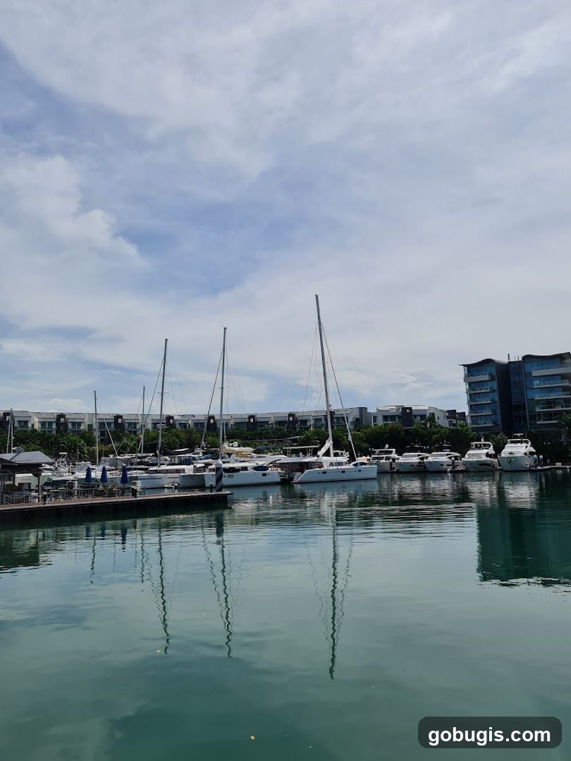 Boats docked in a marina