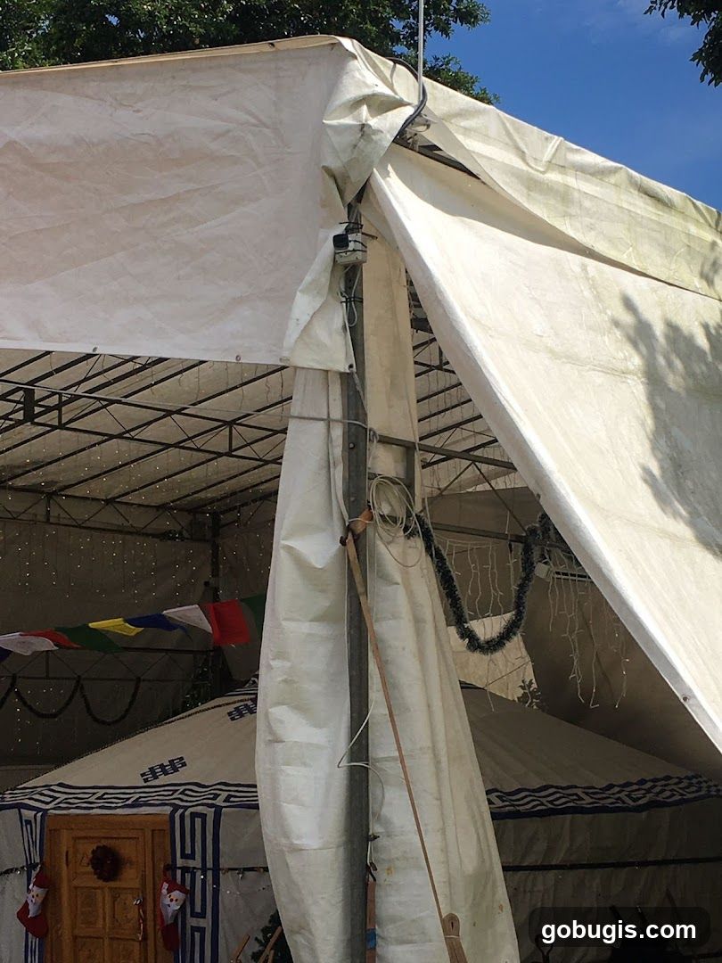 Yurt Entrance with Decorations