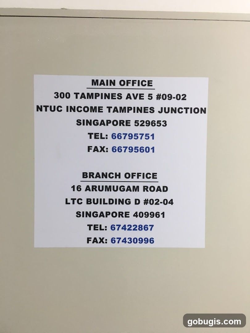 Office Contact Information