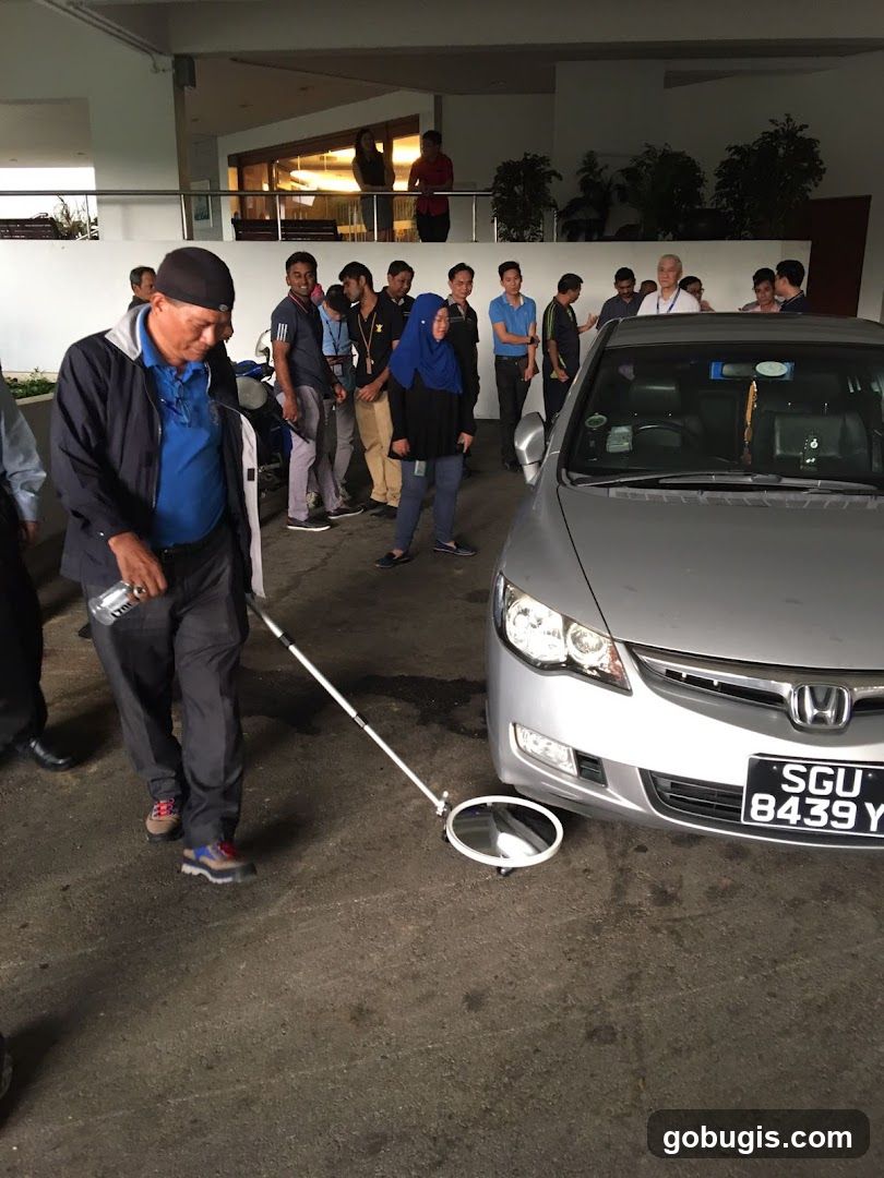 Inspection of a car