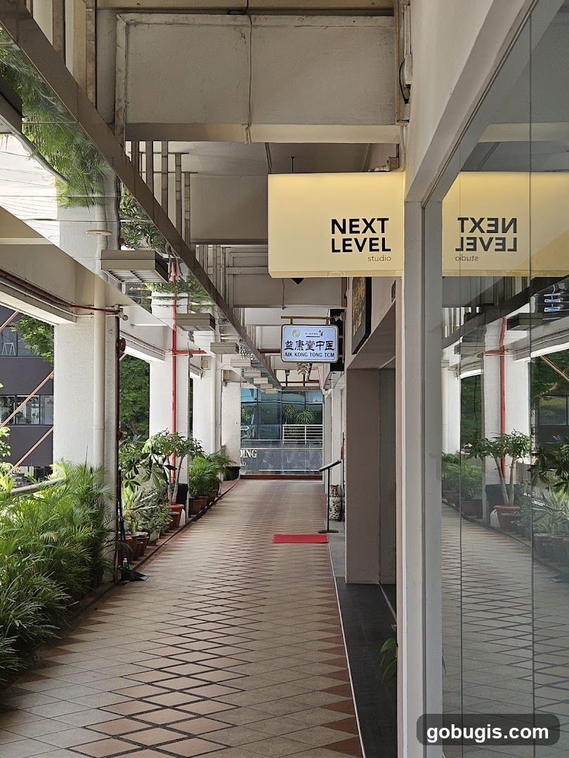 Next Level Studio SG