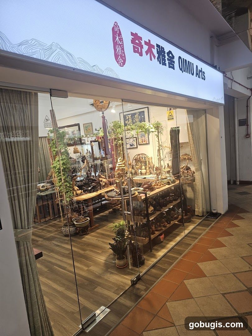 Qimu Arts