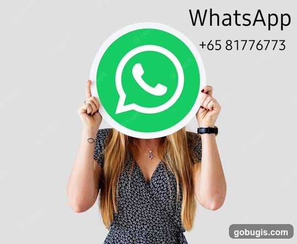 WhatsApp Logo and Contact Number